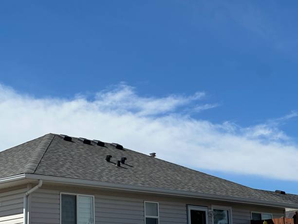 Best Hot Roofs  in Covedale, OH
